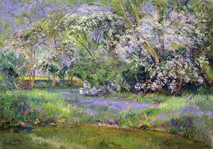 Woodland Hives av Timothy Easton