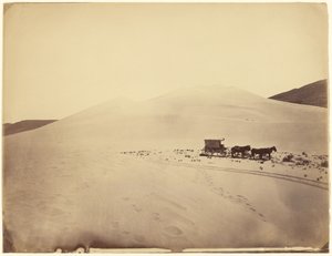 [Desert Sand Hills nära Sink of Carson, Nevada] av Timothy H. O