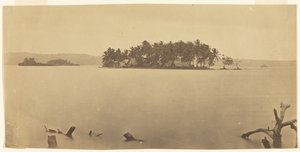 [Dariénnäset (Panama)] av Timothy H. O