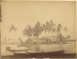 [Limón Bay, Isthmus of Darién (Panama)] av Timothy H. OSullivan