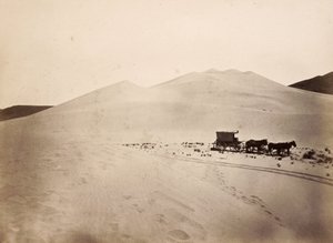 Sanddyner, Carsonöknen, Nevada av Timothy H. O