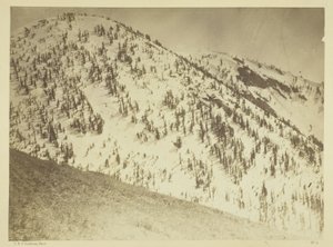 Snow Peaks, Bull Run gruvdistrikt, Nevada av Timothy O