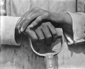 En byggnadsarbetares händer, Mexiko, 1926 av Tina Modotti
