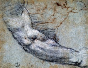 Studie av arm, av Titian (ca 1488-1576), teckning av Titian (c.1488 1576)
