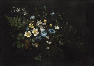 Spray av blommor och ormbunkar, datum okänt. av Titian Ramsay Peale