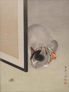 Katt som tittar på en spindel, ca. 1888-92. av Toko Oide