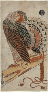 Sparrowhawk (Konori Taka) av Torii Kiyomasu I