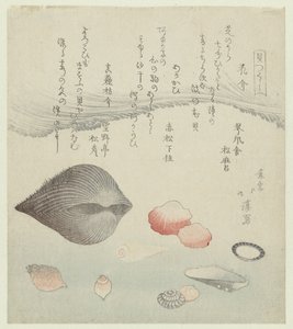 Blomskal, rött skal och det rena röda skalet Hanagai akagai masuogai (titel på objekt) En serie skal (serietitel) Kaitsukushi (serietitel på objekt) av Totoya Hokkei