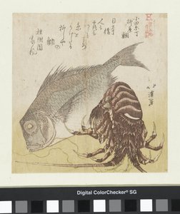 Havsabborren i Yanagiya i Odawara Chô Odawara Chô Yanagiya tai (titel på objekt) Kända produkter från Edo (serietitel) Edo meibutsu (serietitel på objekt) av Totoya Hokkei
