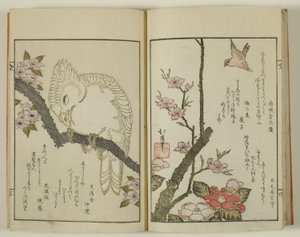 Kyoka hyakucho Kocho av Totoya Hokkei