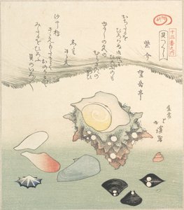 Top-Shell och olika snäckor, 1800-talet. av Totoya Hokkei