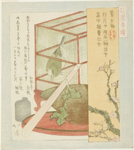 Sångare i bur, från serien "A Series for the Hanazono Group (Hanazono bantsuzuki)" av Totoya Hokkei