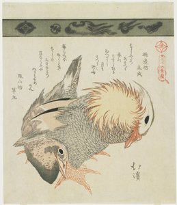 Mandarinanka och drake, ca 1830