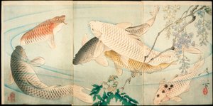 Karp med blåregn av Tsukioka Yoshitoshi