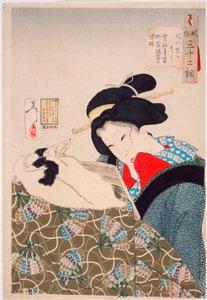 Varm: En stadsänka från Kansei-perioden (1789-1800) av Tsukioka Yoshitoshi
