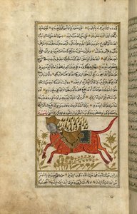 Buraq, profeten Muhammeds häst (bläck och pigment på europeiskt papper)