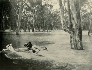 En bankman, 1901. av Unbekannt