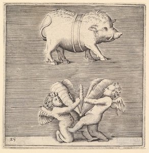 En bältad gris och två amoriner eller genier med en fjäril eller mal, publicerad ca. 1599-1622. av Unbekannt
