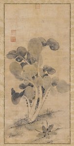 En kålväxt, sent Yuan eller tidig Ming-dynastin, 1300-1400-talet. av Unbekannt