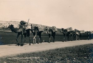 Ett kameltåg på väg till Damaskus, 1936 av Unbekannt