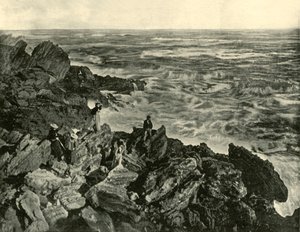 En kustscen vid Warrnambool, 1901. av Unbekannt