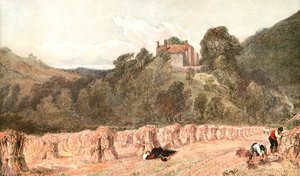Ett majsfält, c1840-talet, c1900. av Unbekannt