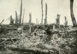 A Dug-Out in What Was Once A Sylvan Wood, 1919. av Unbekannt