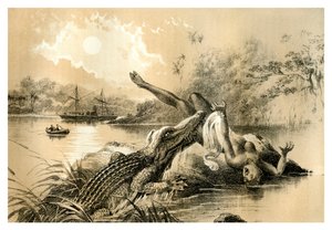En skrämmande incident, 1883 av Unbekannt