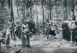 En pygméby, nordöstra Kongobassängen, 1912 av Unbekannt