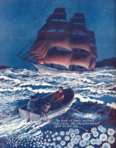 Ett hav upplyst av levande nattljus, 1935 av Unbekannt
