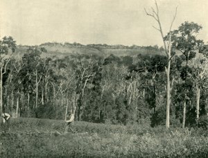 En viktoriansk bergsgård, 1901. av Unbekannt