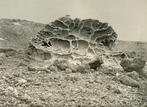A Weathered Kenyte Boulder Near the Winter Quarters, c1908, 1909. av Unbekannt
