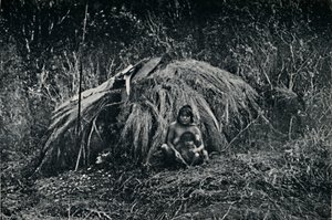 En Yaghan Hut i Fuegia, 1911 av Unbekannt