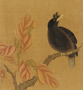 En koltrast på en gren, höstlöv, Qingdynastin, 1700-tal. av Unbekannt