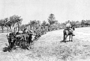 En konvoj av vagnar, Sydamerika, 1895 av Unbekannt