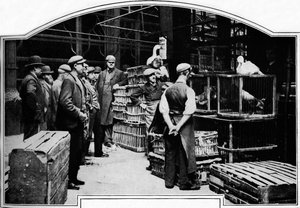 Ett hörn av Leadenhall Market, London, c1901 1901 av Unbekannt
