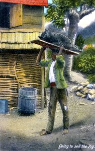 En man på väg till marknaden för att sälja en gris, Jamaica, ca 1900-talet av Unbekannt