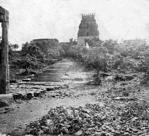 Ett ruinerat tempel nära Madras, Indien, 1874 av Unbekannt