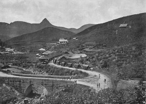Adamspik och Brownlow Tea Plantation, 1926 av Unbekannt