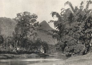 Adamspik från Maskeliya-området, 1926 av Unbekannt