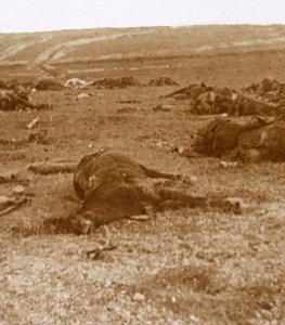 Efter anklagelsen, Beauséjour, norra Frankrike, c1914-c1918 av Unbekannt