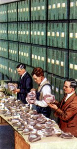Air Raid Precautions, cigarettkort, brittiskt, 1938 av Unbekannt