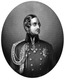 Albert 1819-1861, prinsgemål av drottning Victoria, 1851 av Unbekannt