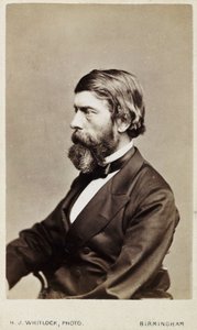 Alexander William Williamson, skotsk kemist, ca 1865 av Unbekannt