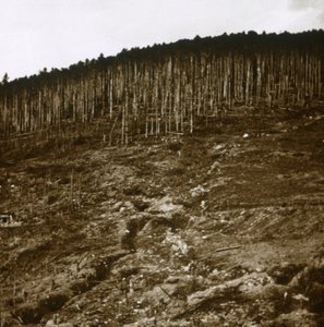 Alsace, c1914-c1918 av Unbekannt