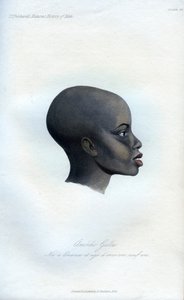 Amochi Galla, ett porträtt av en Galla, 1848 av Unbekannt