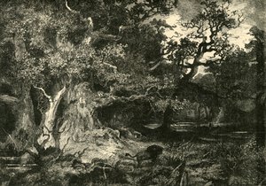 En gammal tysk skog, 1890. av Unbekannt