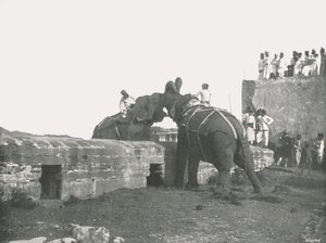 En elefantkamp, Hyderabad, Indien, 1895. av Unbekannt