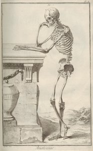 Anatomi. Ur Encyclopédie av Denis Diderot och Jean Le Rond dAlembert, 1751-1765. av Unbekannt