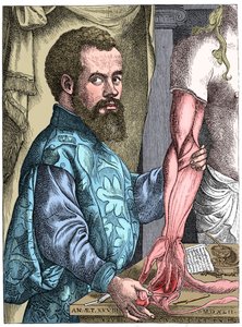 Andreas Vesalius, flamländsk anatom från 1500-talet av Unbekannt